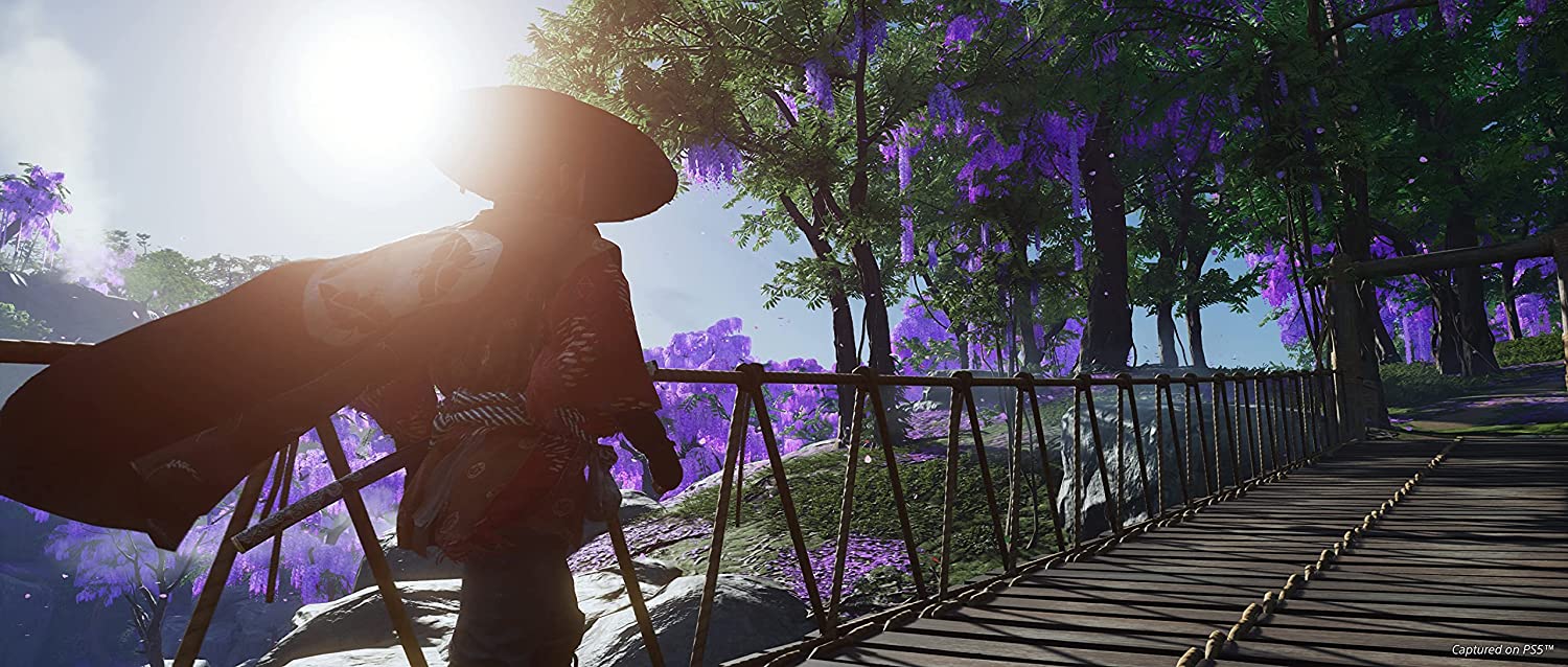 Ghost of Tsushima Director's Cut PS5