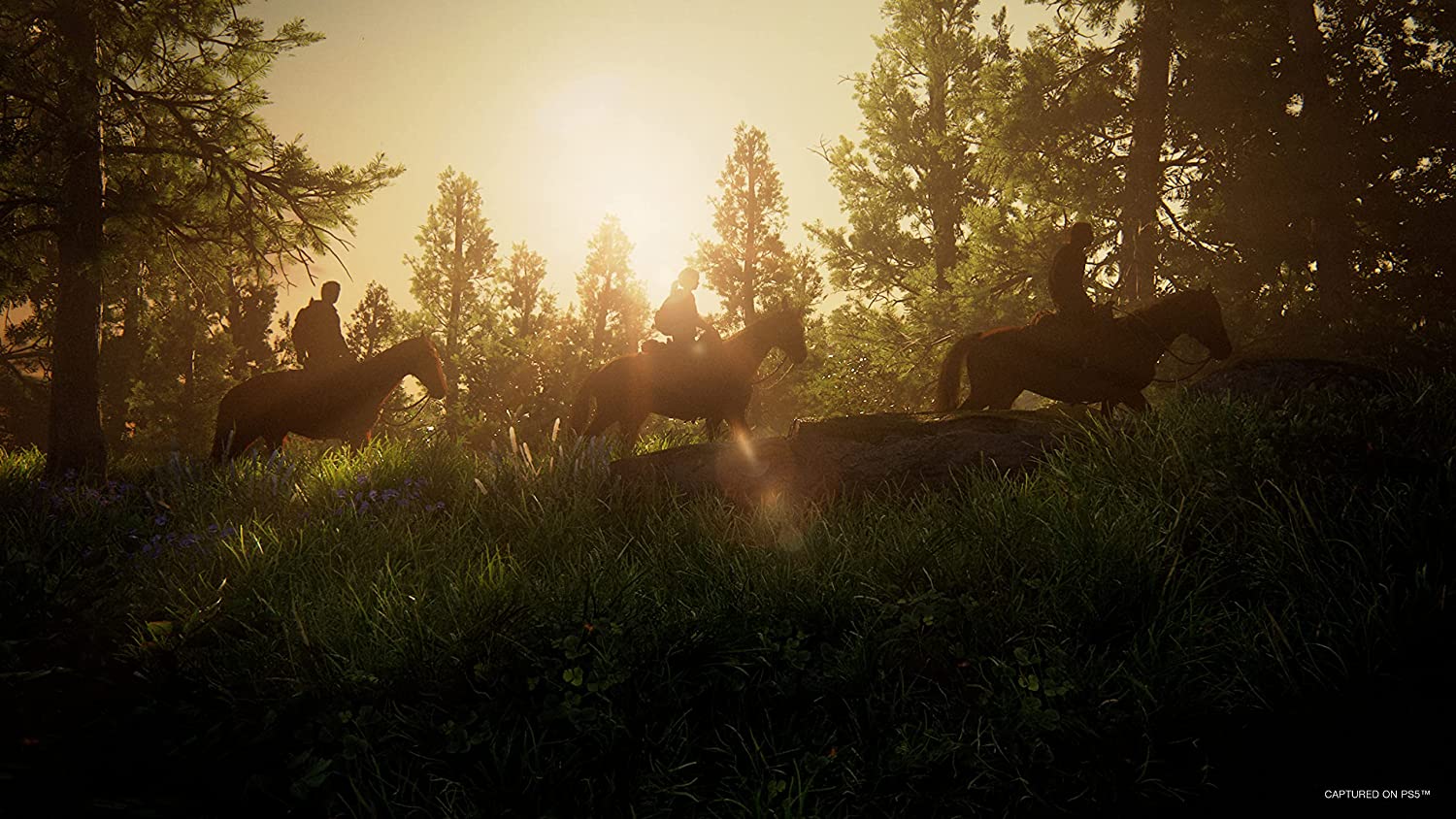 The Last of Us Part I PS5
